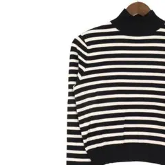 【極美品】ザラ ボーダーニット タートルネック クロップド丈 モノトーン S