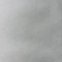 Item thumbnail for item 7c6185e3-2956-4225-8ef5-97f0f5767211