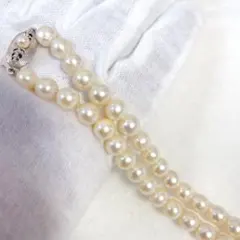 Item thumbnail for item 3b139755-4585-4551-a05f-1ddac8004d3c