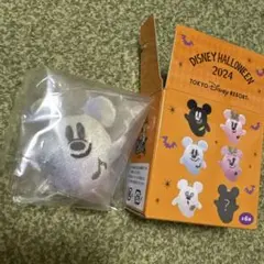 ディズニーハロウィンチャーム シークレット