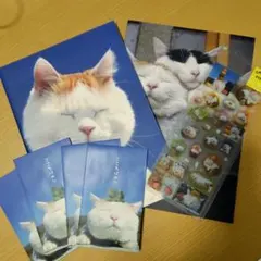 Item thumbnail for item c4bf6046-09ca-4fbe-a12a-9a3d006b5396