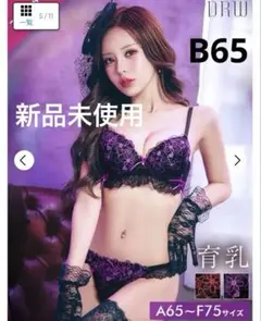 DRWダブルリボンメロウハート育乳脇高ブラジャー&バック透けTバックのサムネイル