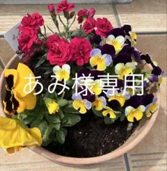 あみ様専用❤️淡いピンクのミニバラとパステルカラーの小花miniドイリー