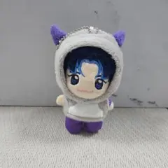 ASTRO ラキ ぬいぐるみ 手乗りサイズ 入手困難 ROCKY 10cm