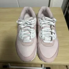 Nike WNMS Air Max 90 29cm ナイキ DJ3862-600
