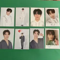 SEVENTEEN DOME TOUR <SVT> トレカ❷ ディノ