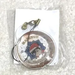 未開封】高橋留美子「らんま1/2」 木製ストラップ 09 Pちゃん - メルカリ