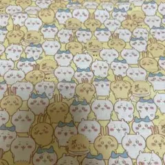 Item thumbnail for item 04b3b363-cabf-437f-9ef2-5d34346acfa9