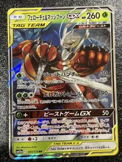 フェローチェ＆マッシブーンGX RR SM9b フルメタルウォール 001/0