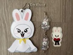 Stray Kids スキズ リノ まとめ売り