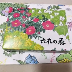 六花亭 六花の森 チョコレート 12個入　北海道土産のサムネイル