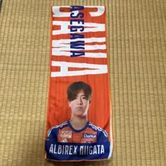 アルビレックス新潟　長谷川元希　14 冷感タオルマフラー