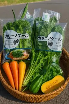 堀農園ケール健康セット7品｜エコ農産物｜80サイズ