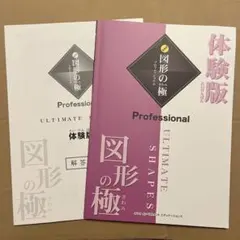 希少未記入❣️ 図形の極み　図形のきわみ　プロフェッショナル　2級　裁断済み 小2】玉井式「図形の極み」体験資料を請求、中学受験に向け解いた感想