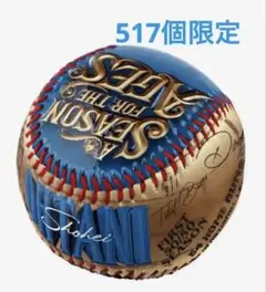 【大谷翔平】2024年シーズン記念ボール！ディスプレイケース付き！新品未開封！