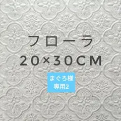 Item thumbnail for item 77d2aed6-634c-42b2-9264-6322ae0ecc77