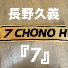 Item thumbnail for item 60ca5930-5d99-40c3-ab9a-94545c535e1c