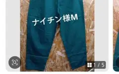 ナイチンさまM