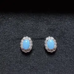 コモンズ館☆関西万博限定☆スリナム☆ピアス☆万博2025☆