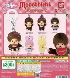 モンチッチ・めじるしアクセサリー2