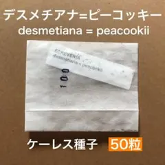 ゆゆ様 リクエスト 6点 まとめ商品