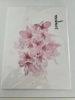 滝沢歌舞伎ZERO final パンフレット