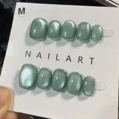 【セツ】マグネット　ネイルチップ　付け爪（1789）