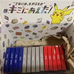 ポケモン ゲームパッケージ ピンバッジ コレクションセット 14種