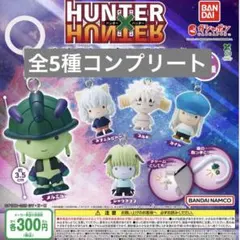 HUNTER × HUNTER めじるしアクセサリー キメラアント編