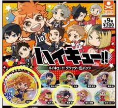 ハイキュー!!缶バッジ　２点セット