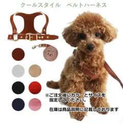 Item thumbnail for item 5ef81af6-ad0e-466e-a0b5-1510ccf40a45