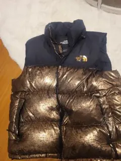 Item thumbnail for item 6a421dda-bc78-40e4-a36a-83562eb6f505