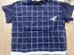 プティマイン　恐竜　Tシャツ