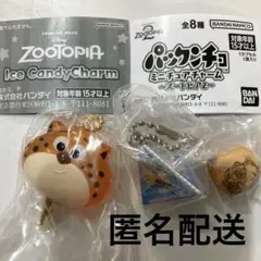 ズートピア　アイスキャンディーチャーム　パックンチョ