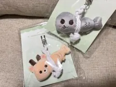 2026年最新】Riize ぬいぐるみ ソンチャンの人気アイテム - メルカリ