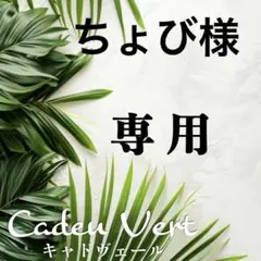 ちょび様 リクエスト 2点 まとめ商品