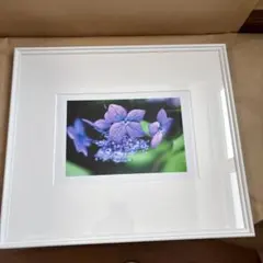 塩崎敬子、【記憶の薔薇と海】、希少な額装用画集より、新品額装付