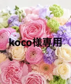 koco様　Lショーツ