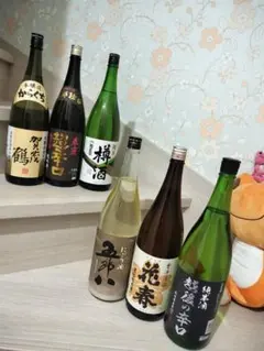 令和8年度新酒】信州亀齢 岡崎酒造 グリーンラベル 720ml2本セット
