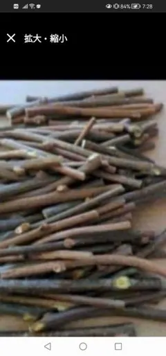 農薬不使用‼️ネコポス一杯‼️キウイフルーツヘイワードとまり木　かじり木