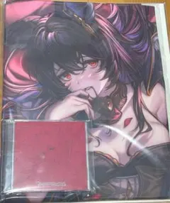 グラブル　グラフェス　グラブルフェス　エクストラフェス　ニーア　抱き枕カバー グラブルフェス2025 抱き枕カバー(ニーア) - メルカリ