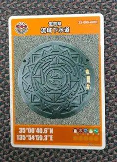 マンホールカード　滋賀県　かいつぶり