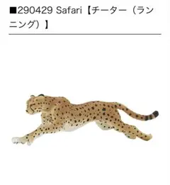 Safari【チーター（ランニング）】のサムネイル