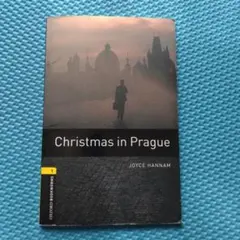 Christmas in Prague by Joyce Hannam