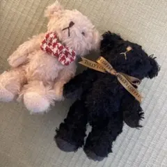 【値下げしました】タリーズ　ペア　ベアフル