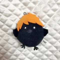 ハイキュー　ヒナガラス