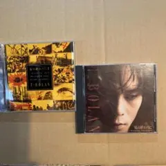 T-BOLAN 夏の曲終わりに　2種2枚　中古品です。