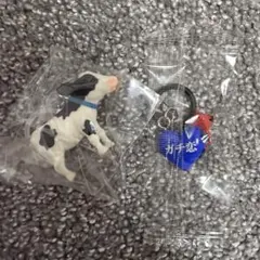 青色セット