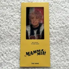 Kaktus様 リクエスト 2点 まとめ商品