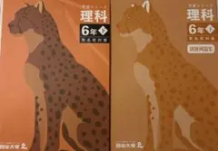 Item thumbnail for item 48ab0c55-ec61-449f-9e87-d99882554167